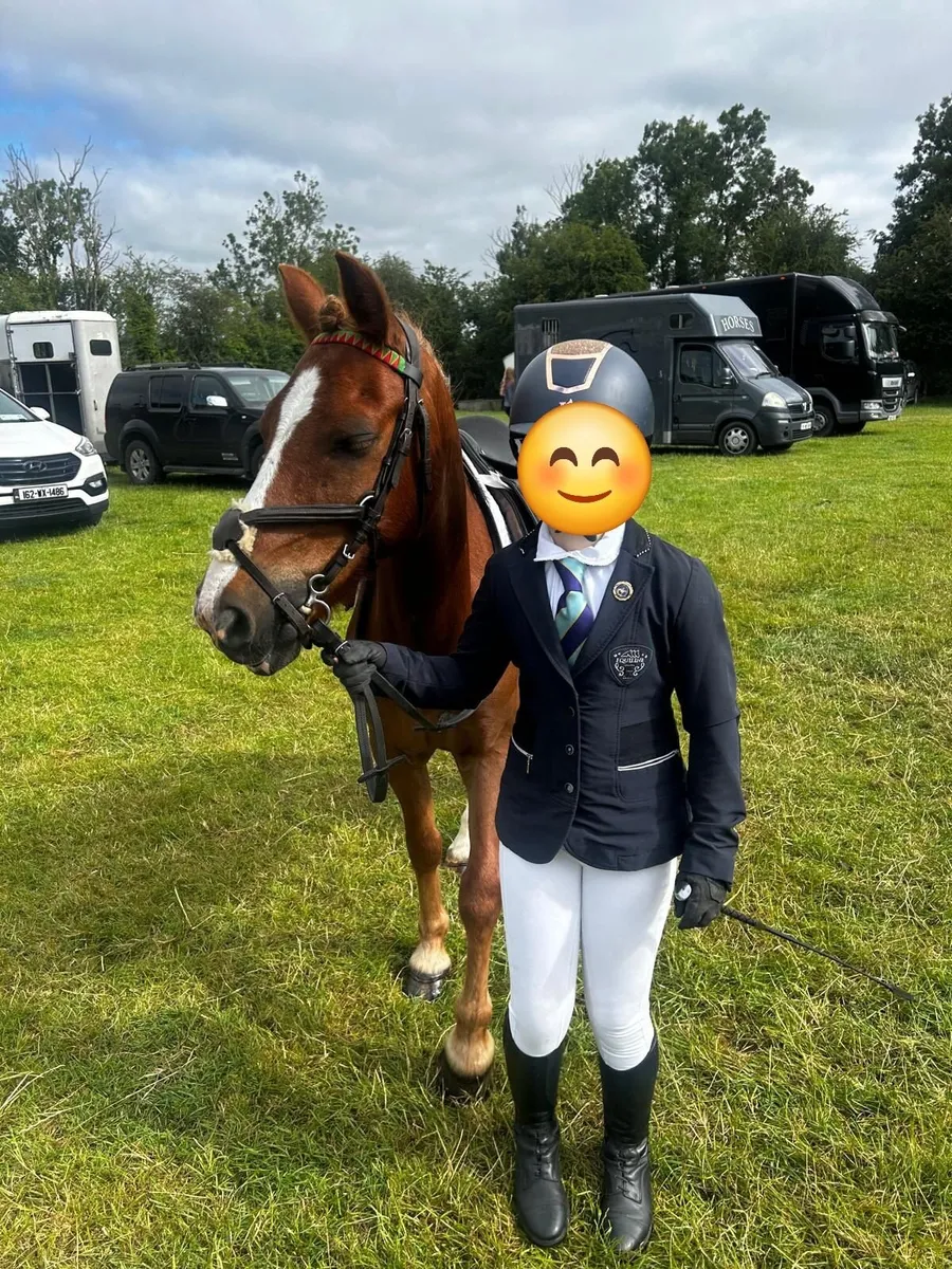 Super 2nd Pony with Plenty of Personality - Image 4