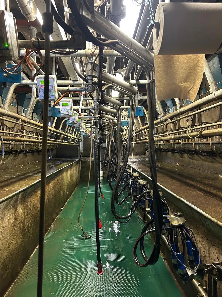 Relief Milker Available - Image 1