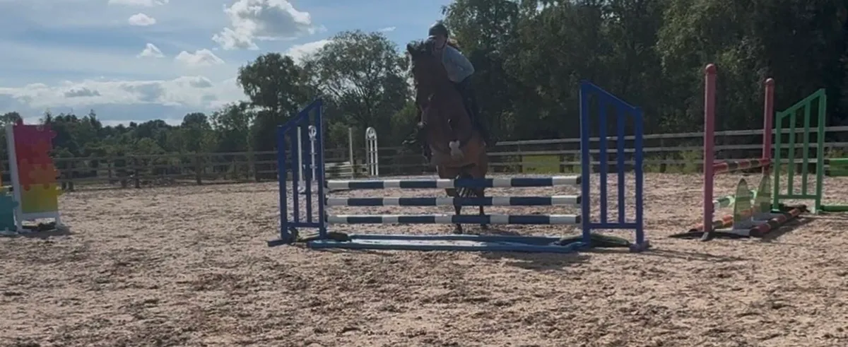 Horse - Image 3