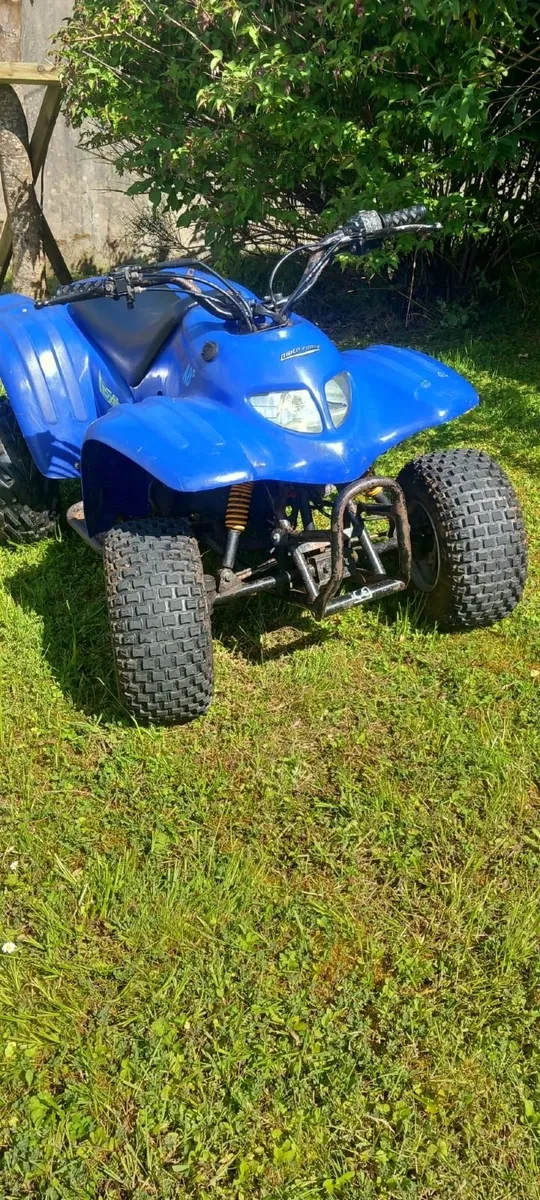 Adly Quad - Image 1
