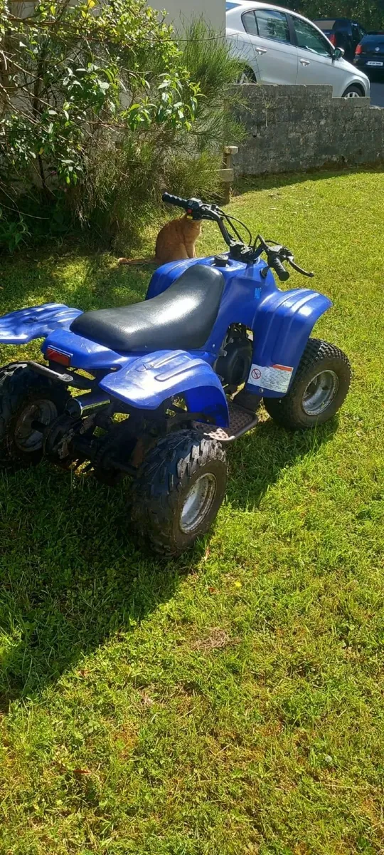 Adly Quad - Image 4