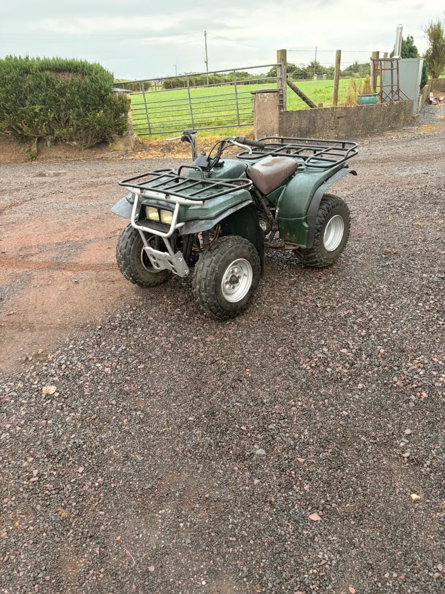 Yamaha Timberwolf - Image 1