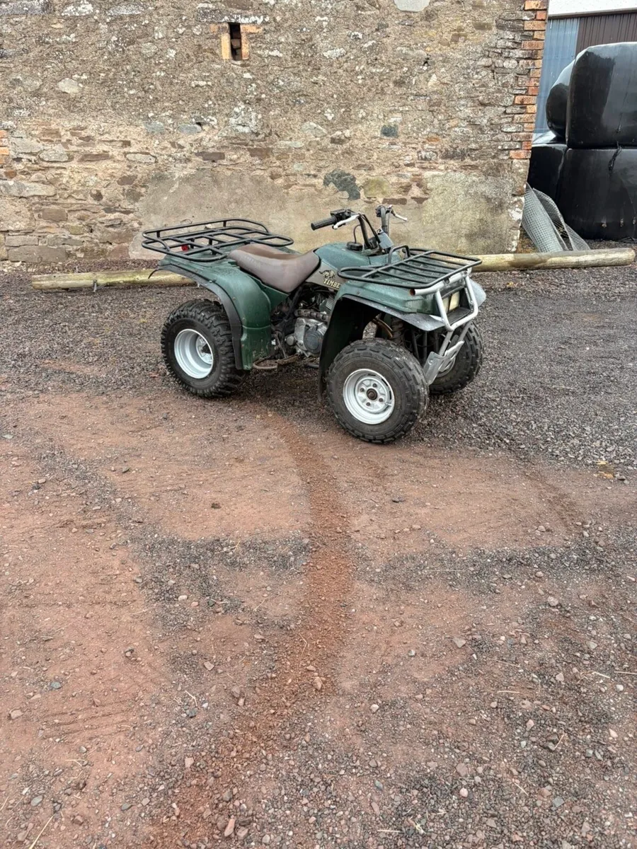 Yamaha Timberwolf - Image 2