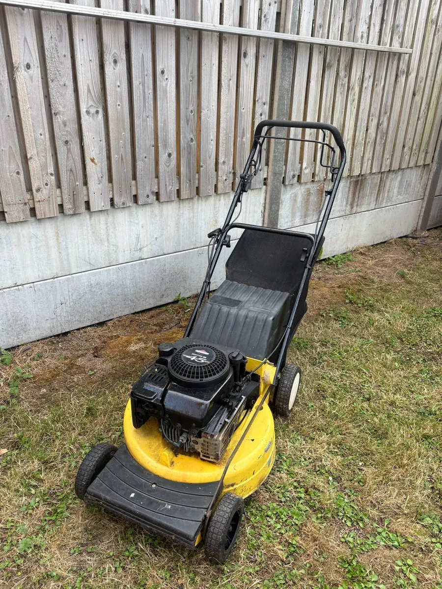 Briggs Stratton self propelled