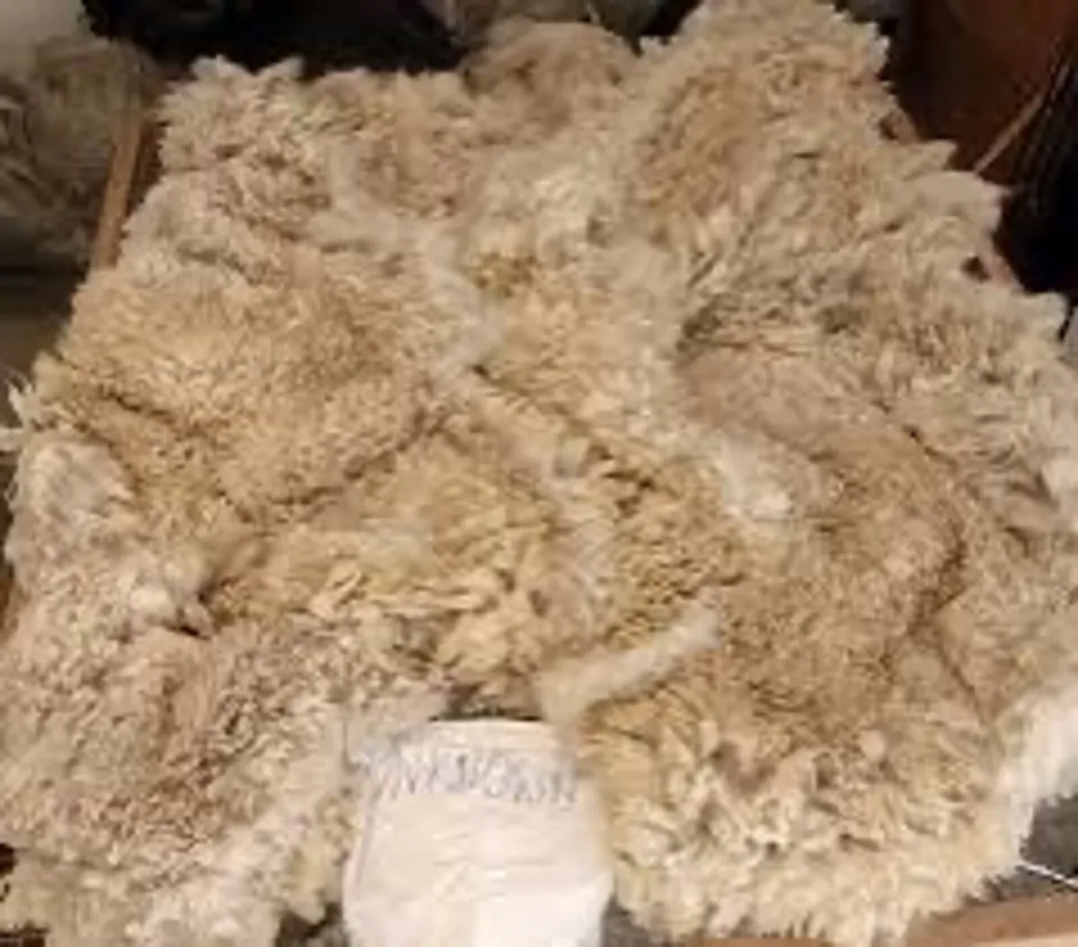Alpaca wool for sale - Image 1