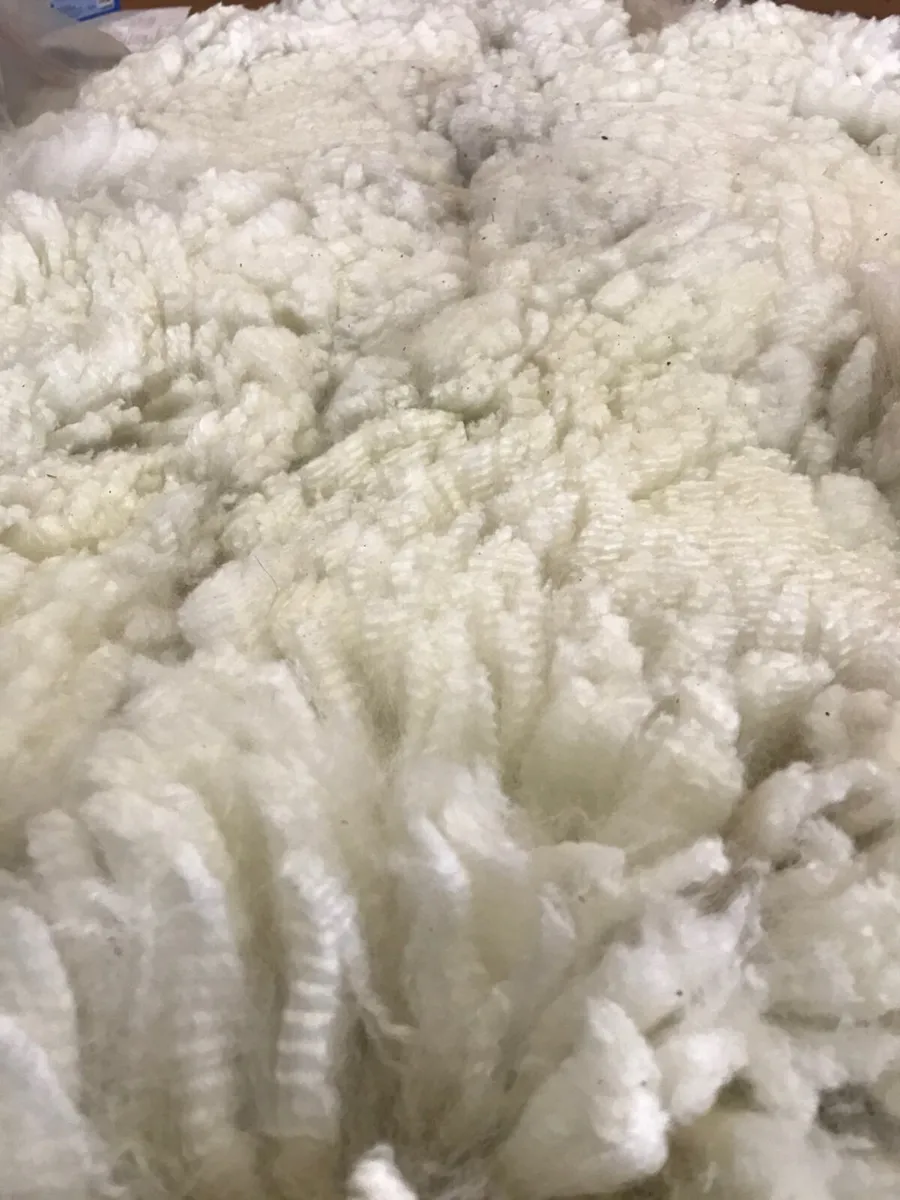 Alpaca wool for sale - Image 2
