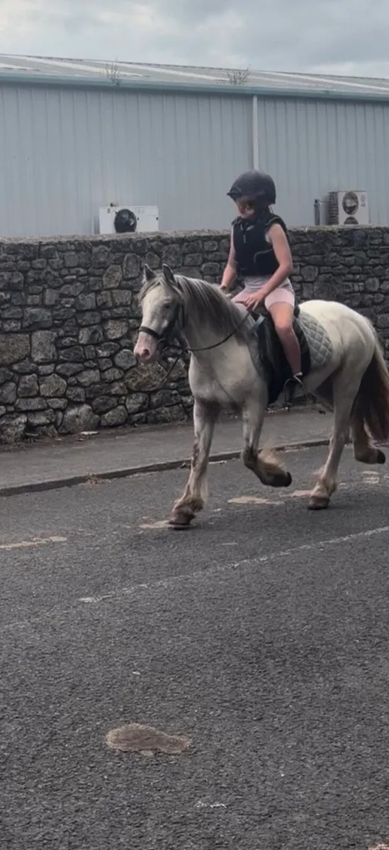 Pony - Image 1