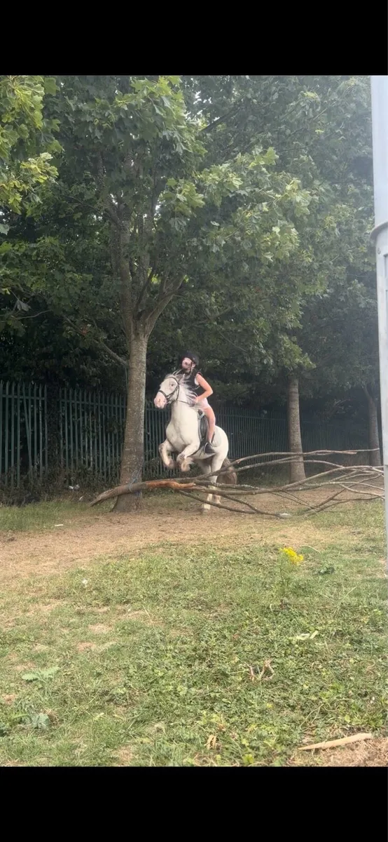 Pony - Image 2