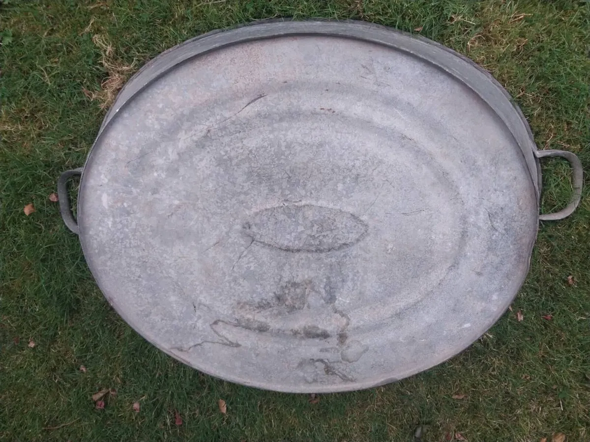 Colossal Basin Planter - Image 3