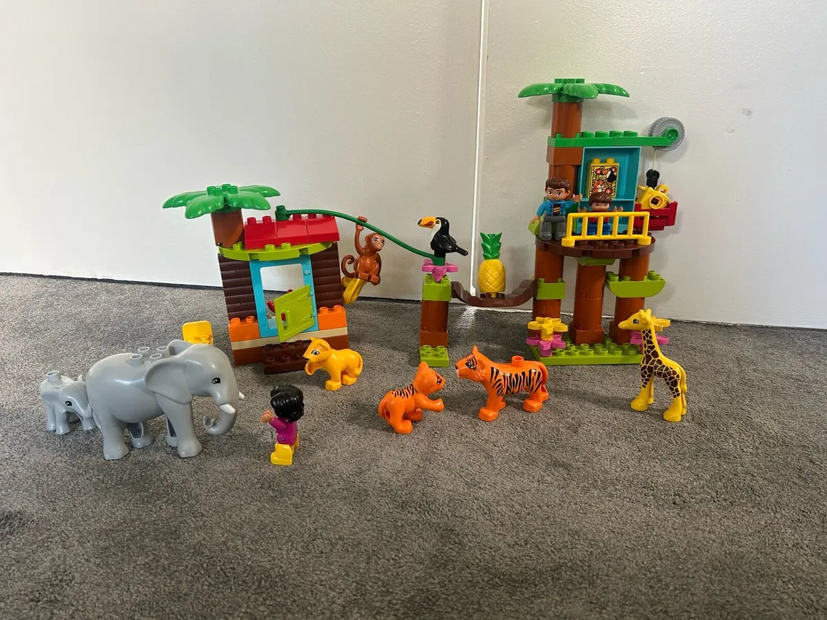 Large Duplo Collection - Image 4