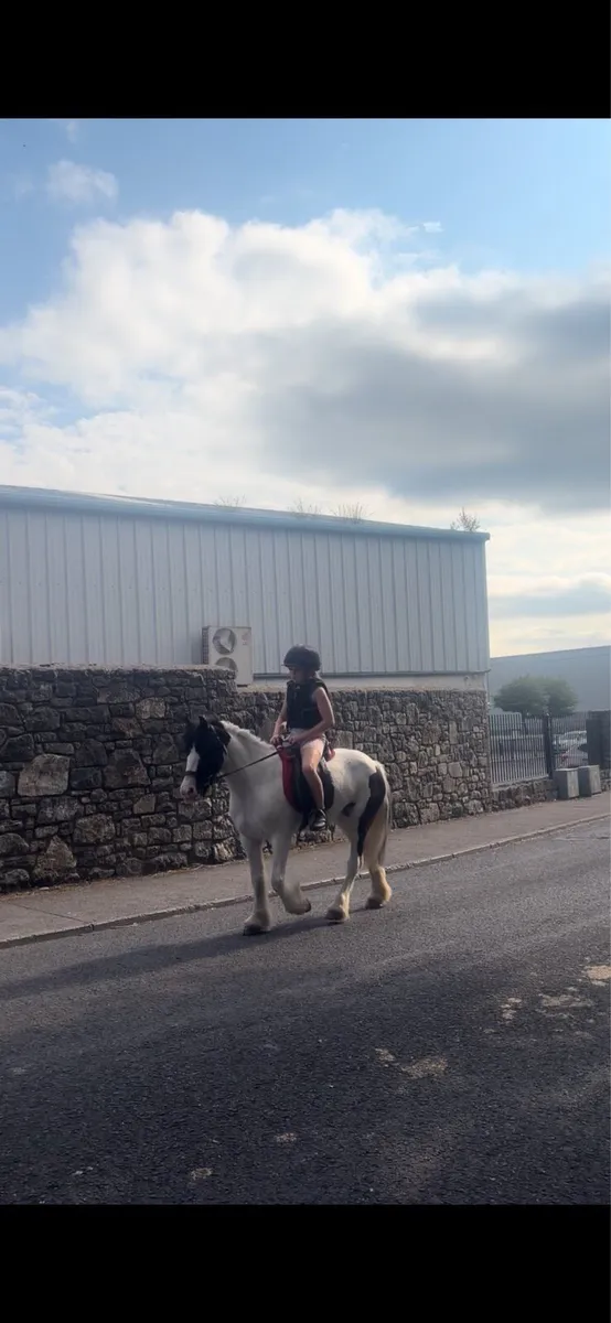 Pony - Image 1