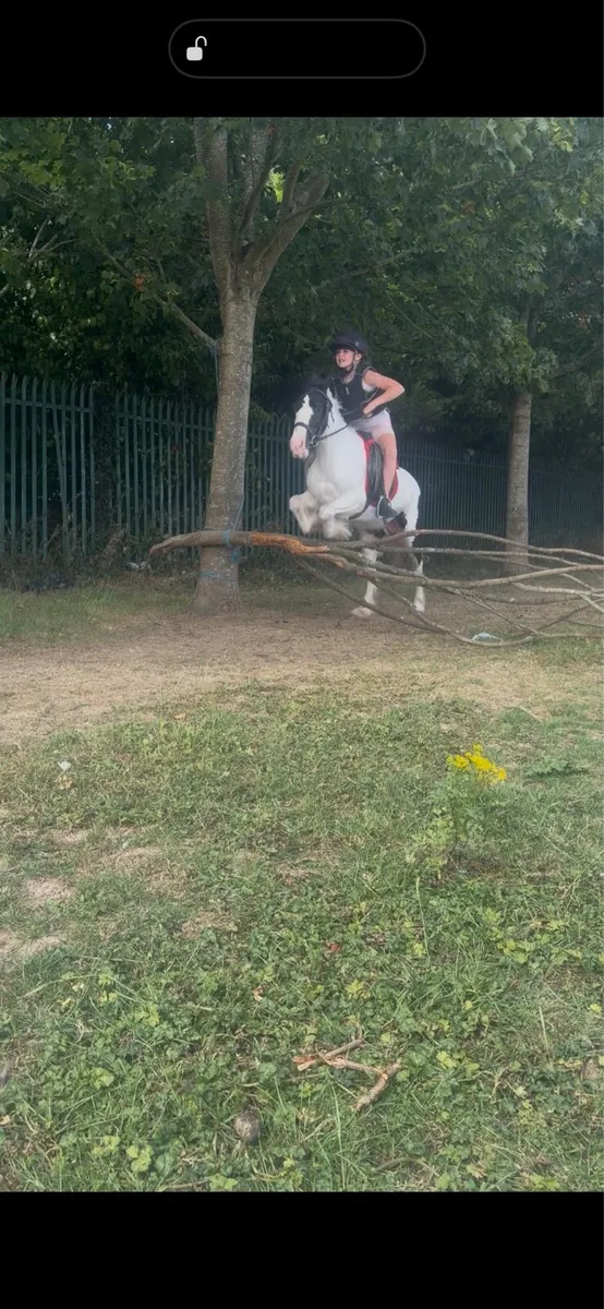 Pony - Image 2