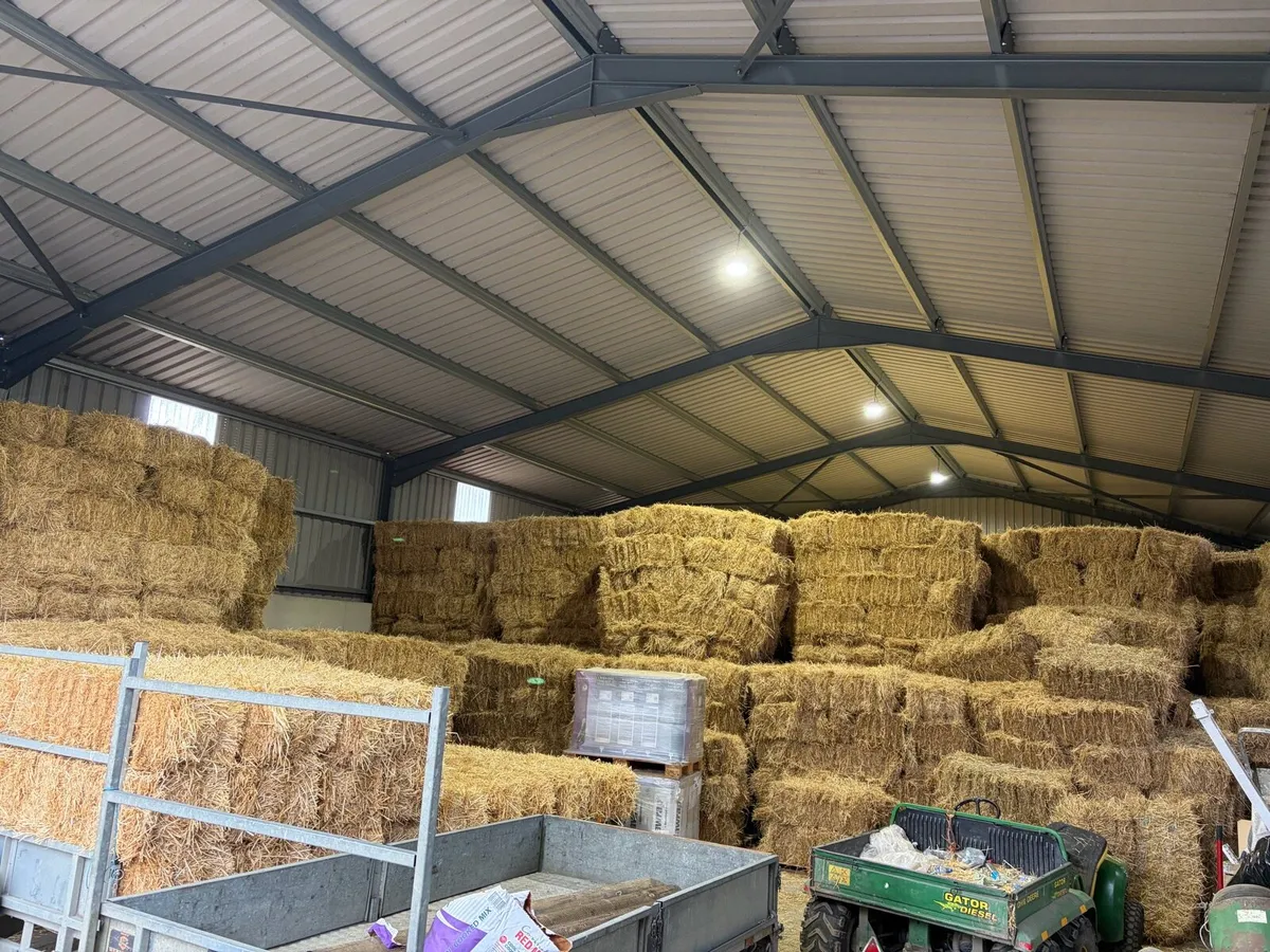 READY TO FEED PREMIUM QUALITY HAY AND HAYLAGE - Image 1