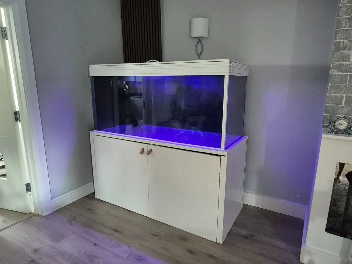 Fish tank - Image 2