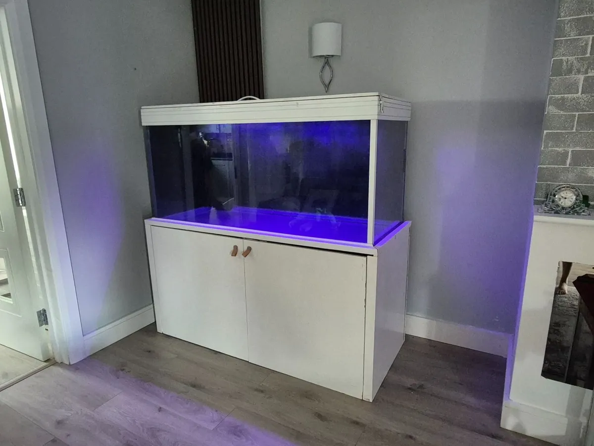 Fish tank - Image 3