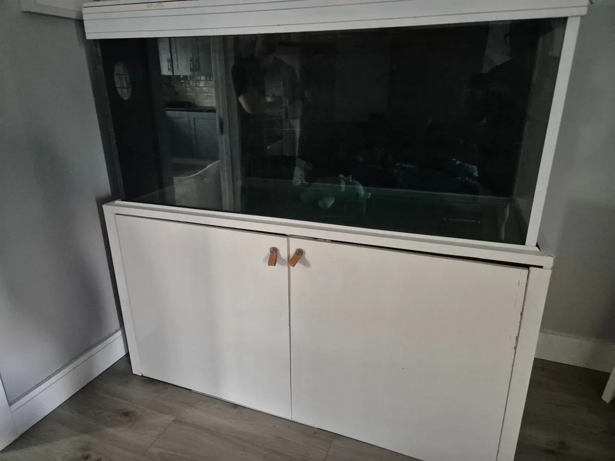 Fish tank - Image 4