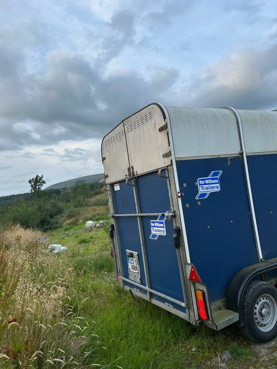 Horse box - Image 3