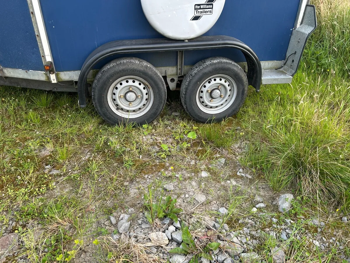 Horse box - Image 4