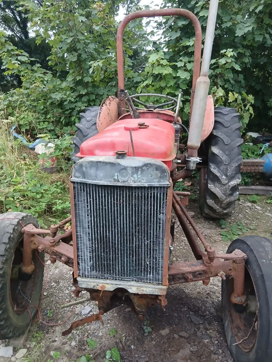 Massey Ferguson 35 - Image 1