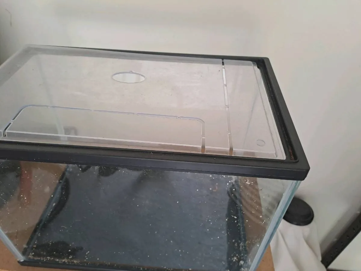 Fish tank - Image 2