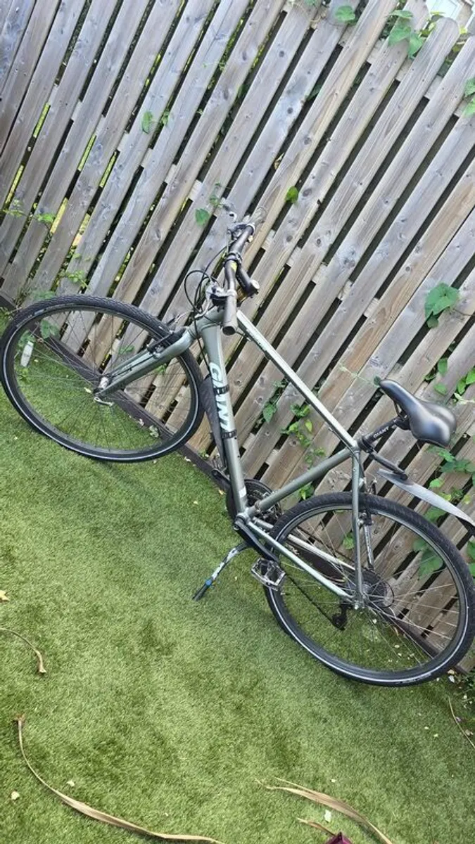 Giant Escape hybrid bicycle Large - Image 1