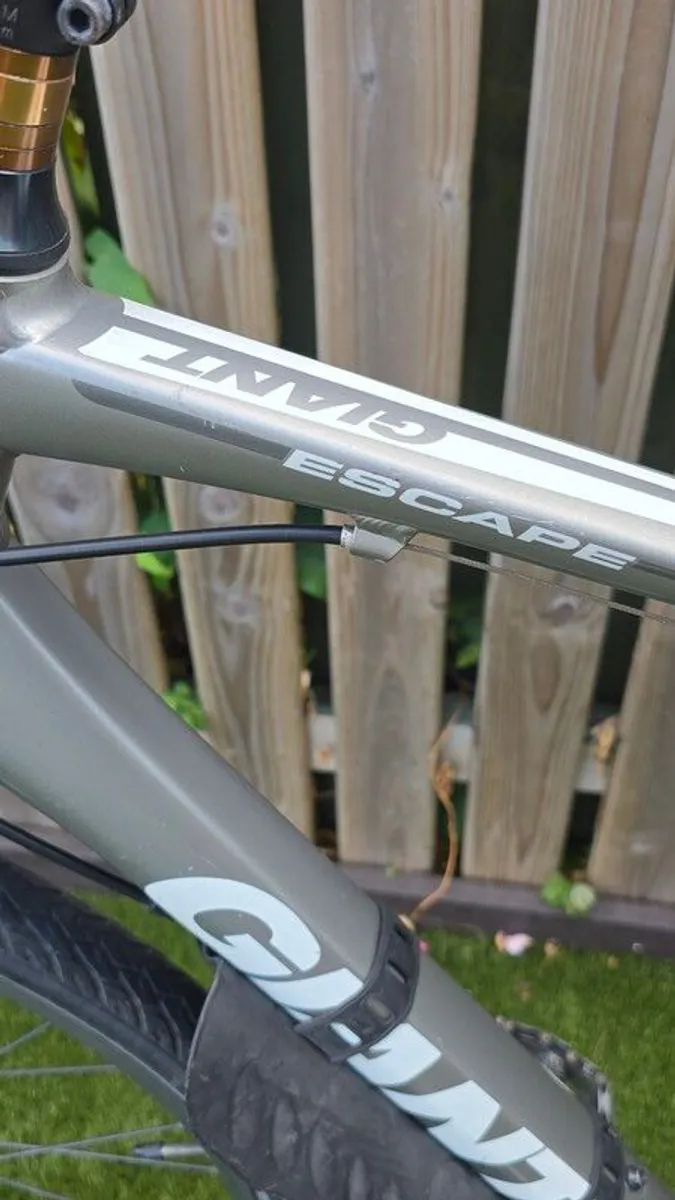 Giant Escape hybrid bicycle Large - Image 3
