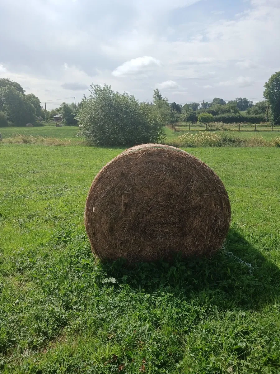 FOR SALE ROUND BALES. HAY - Image 3