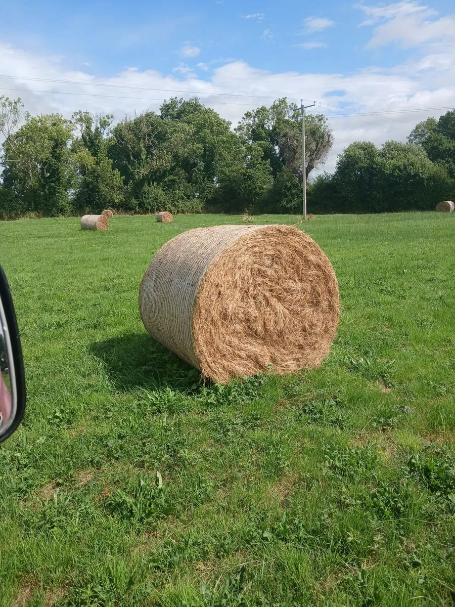 FOR SALE ROUND BALES. HAY - Image 2