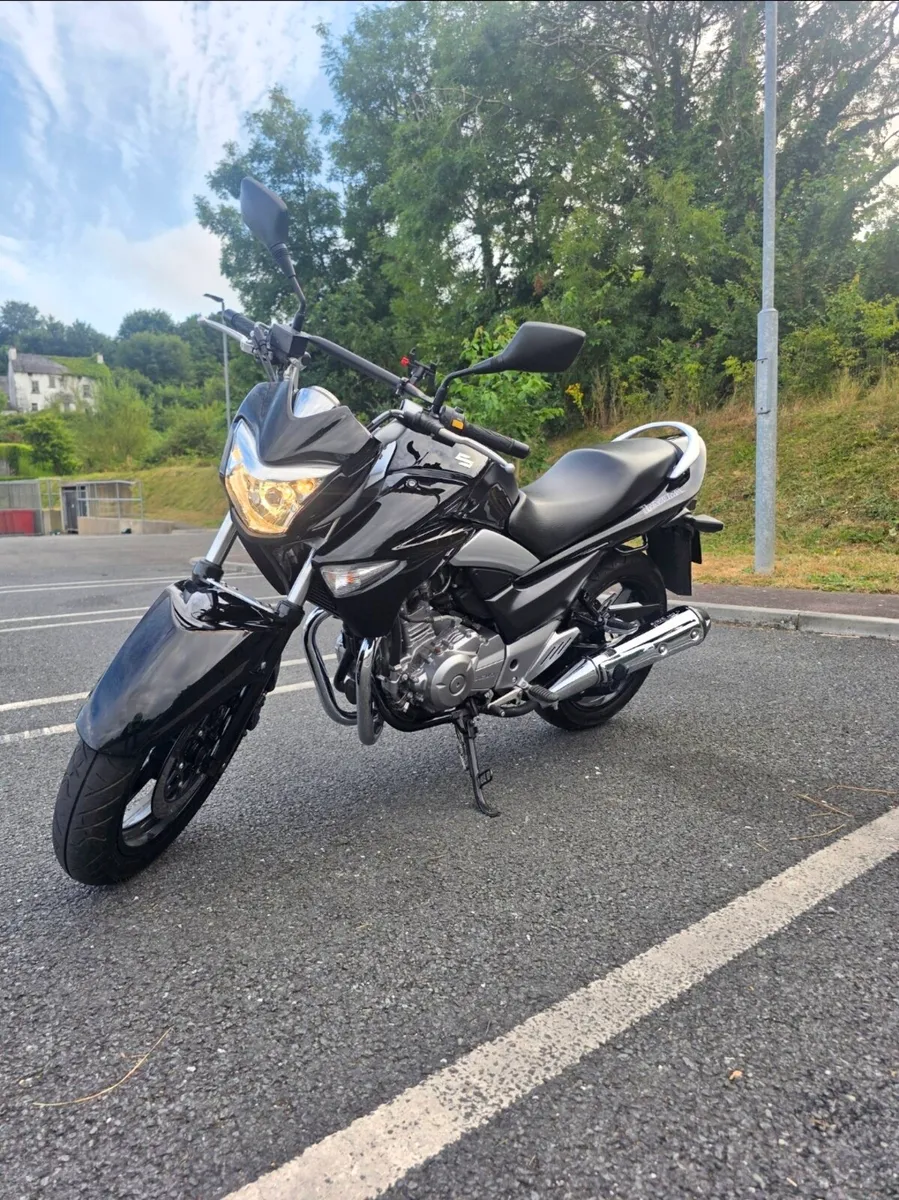 Suzuki Inazuma - GW 250 - Low Mileage – Excellent - Image 3
