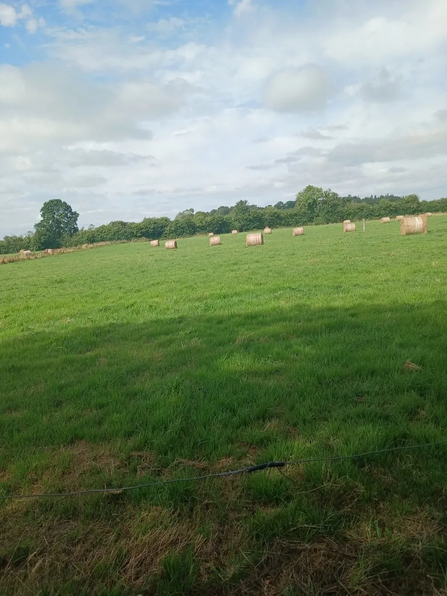 FOR SALE ROUND BALES. HAY - Image 4