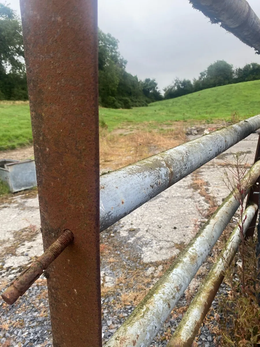 Heavy Duty Livestock Cattle fencing or Cattle Pen - Image 2