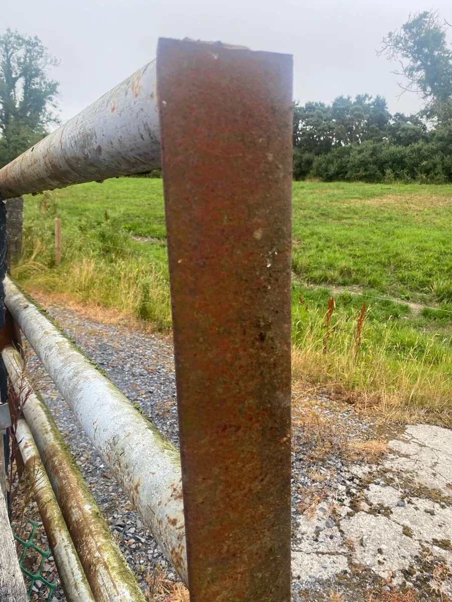 Heavy Duty Livestock Cattle fencing or Cattle Pen - Image 3