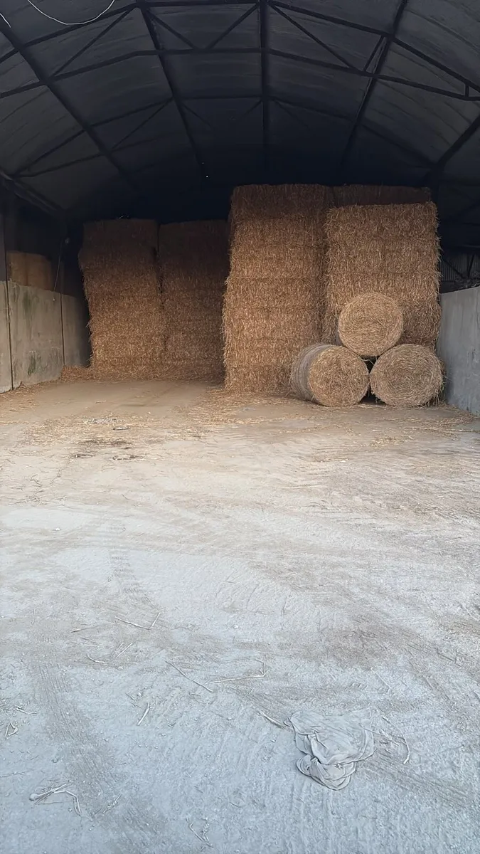 Straw - Image 2