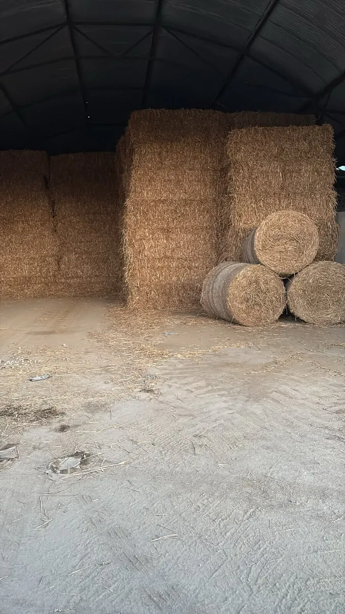 Straw - Image 3