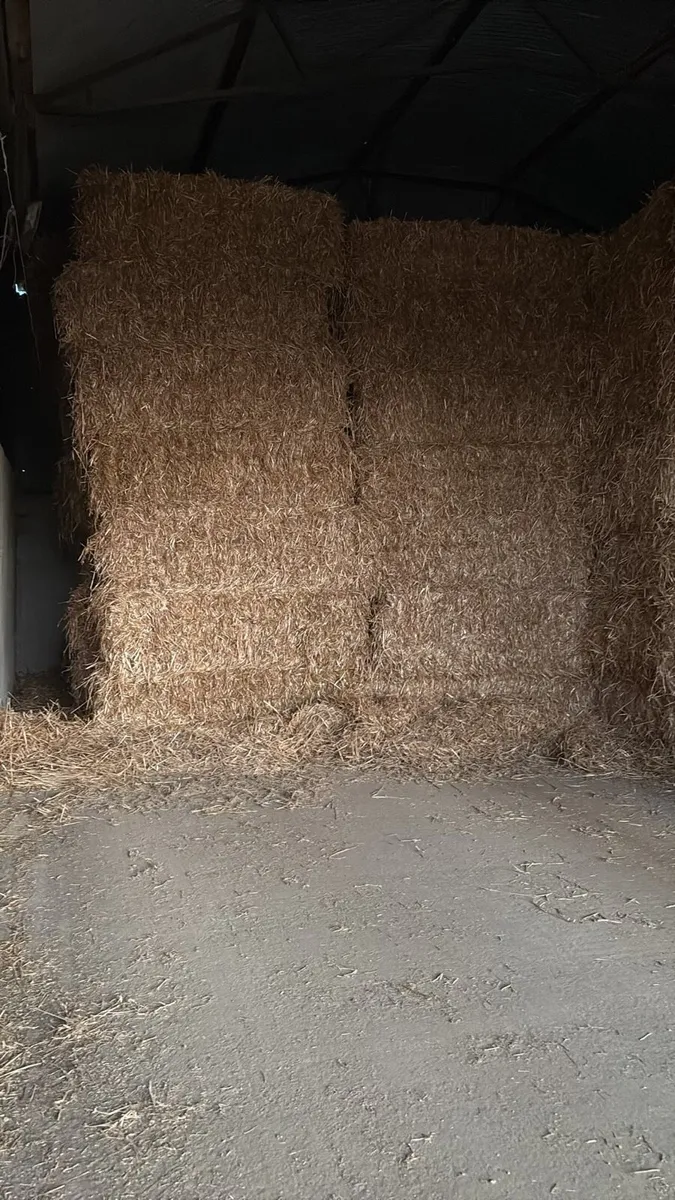 Straw - Image 4