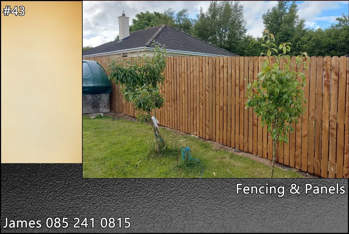 Fencing & Repairs - Image 1