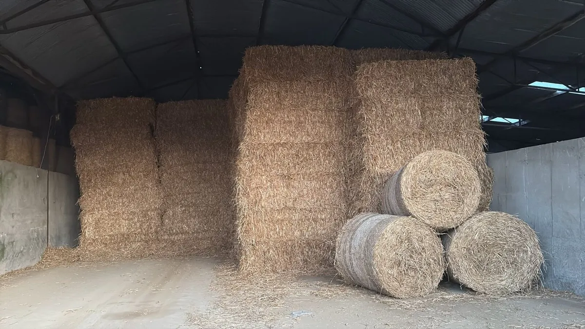 Straw - Image 1
