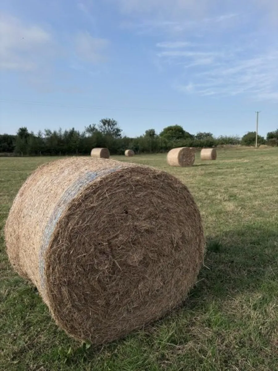 Round Hay Bales - Image 1