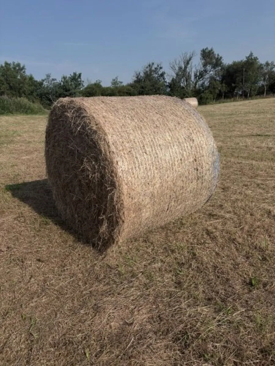 Round Hay Bales - Image 3