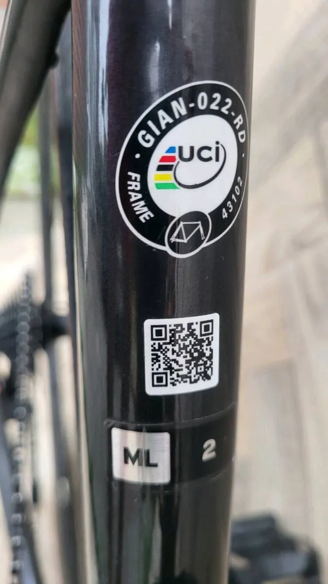 GIANT DEFY,  FULL CARBON - Image 4