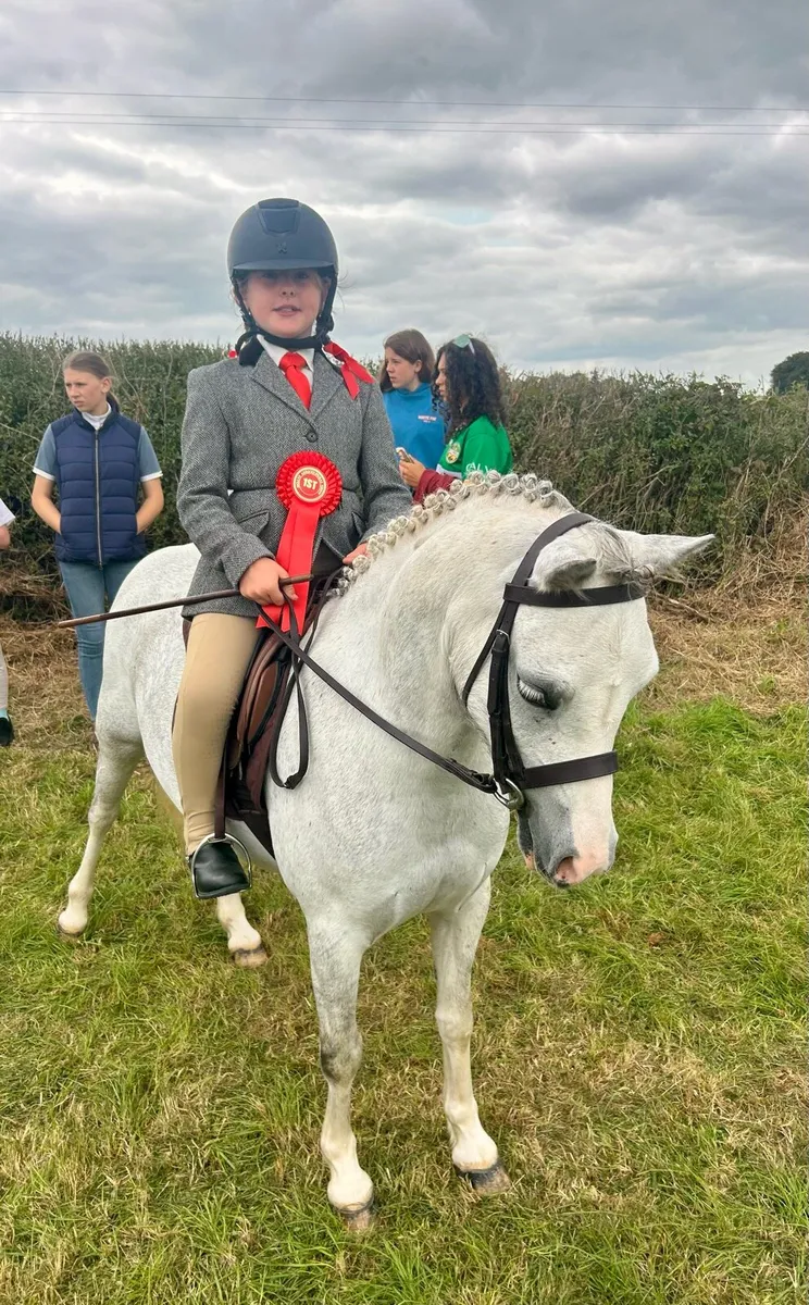 First pony - Image 1