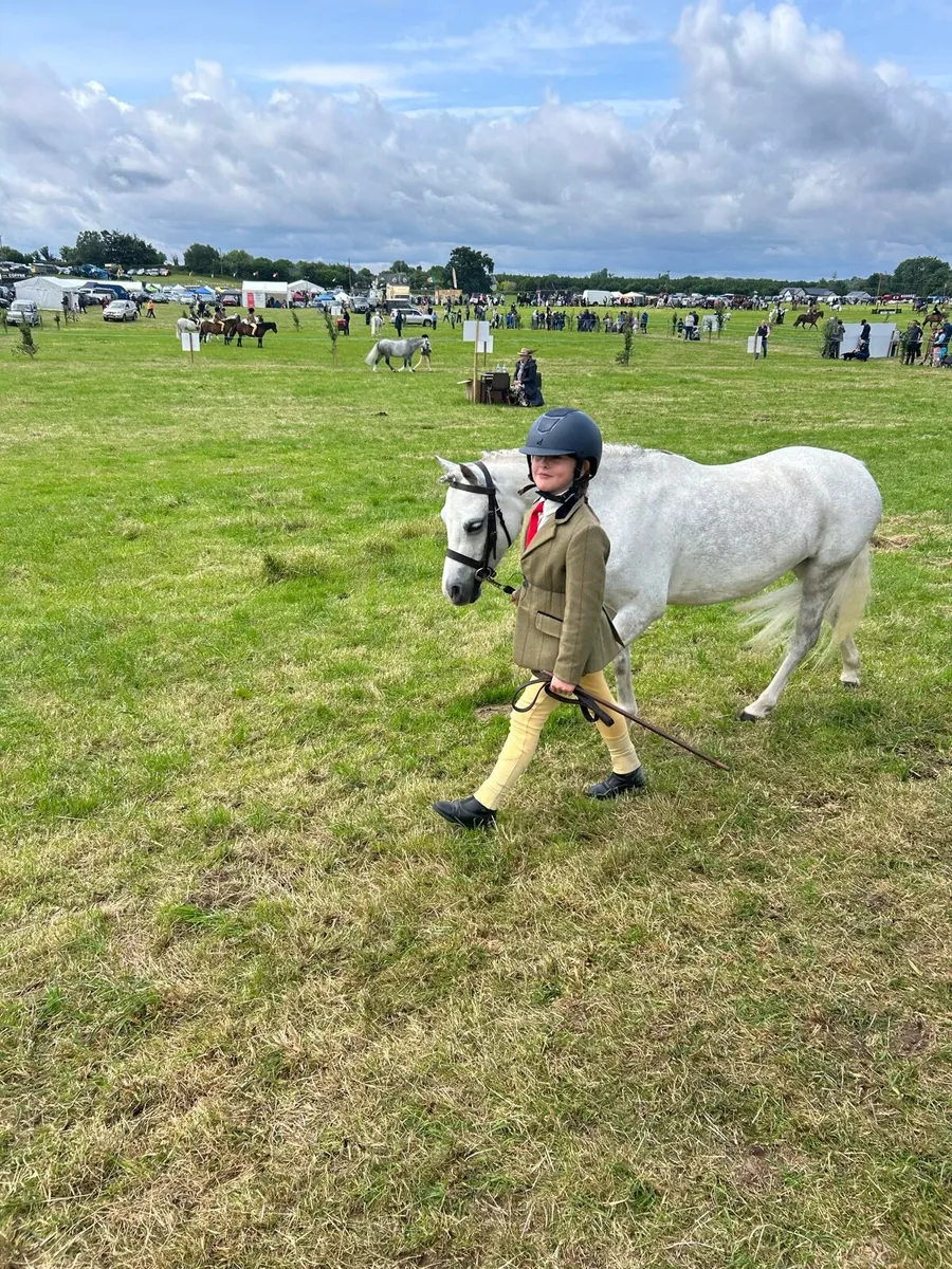First pony - Image 2
