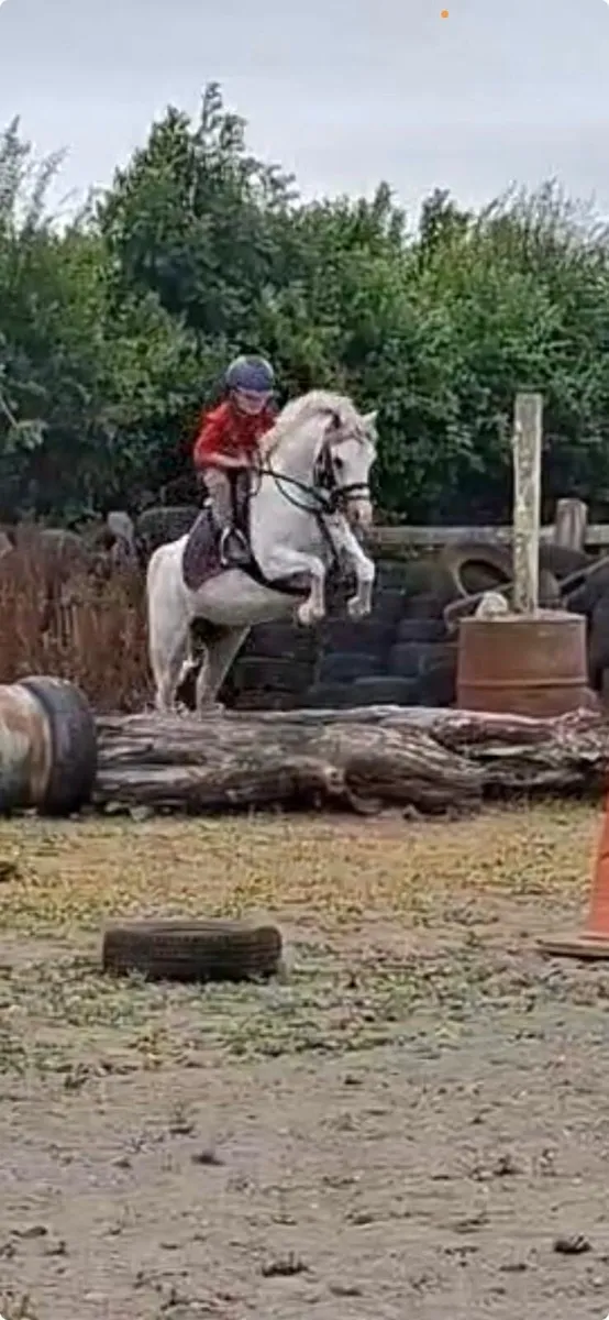 First pony - Image 3