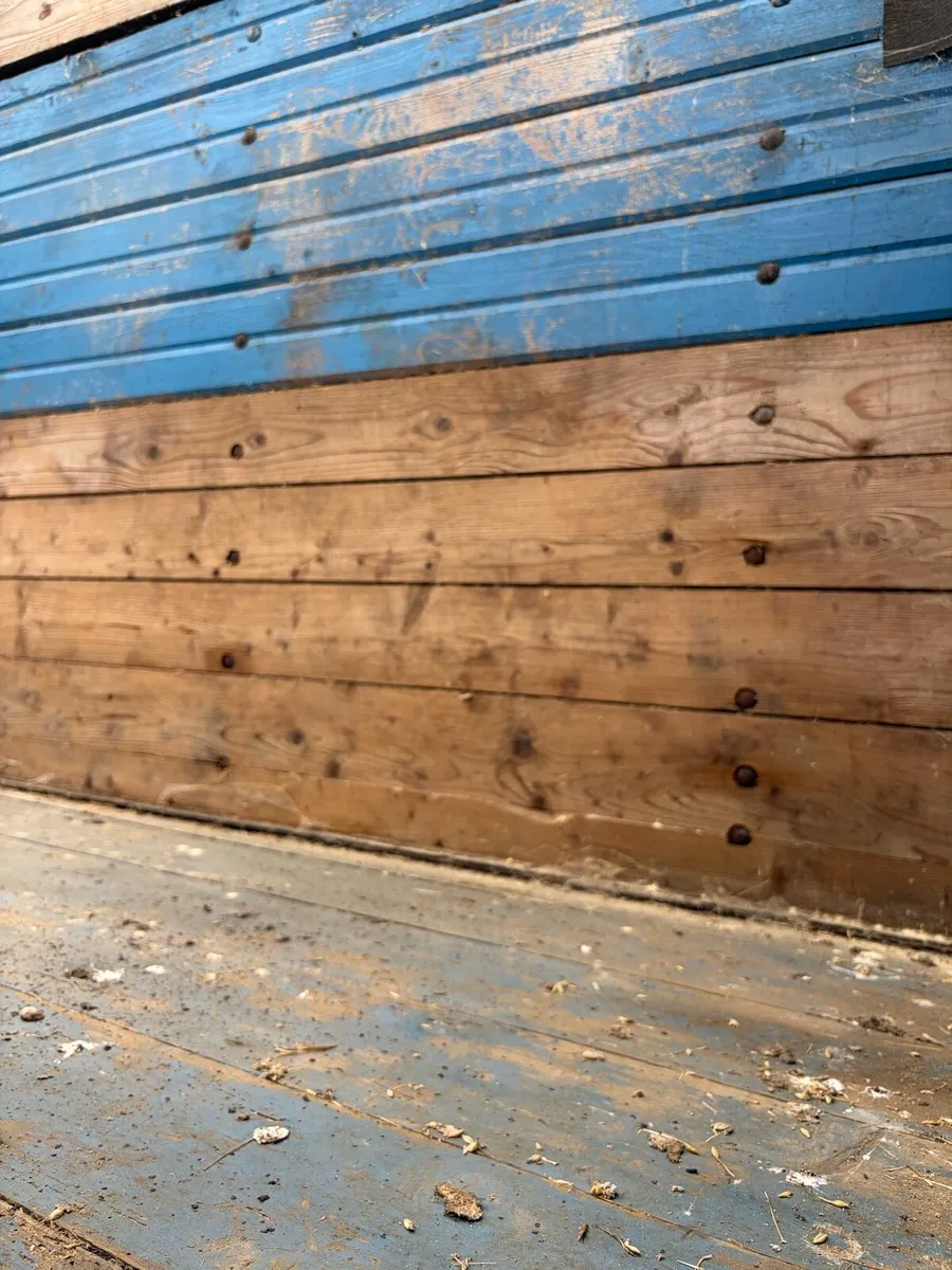 Grain trailer - Image 3