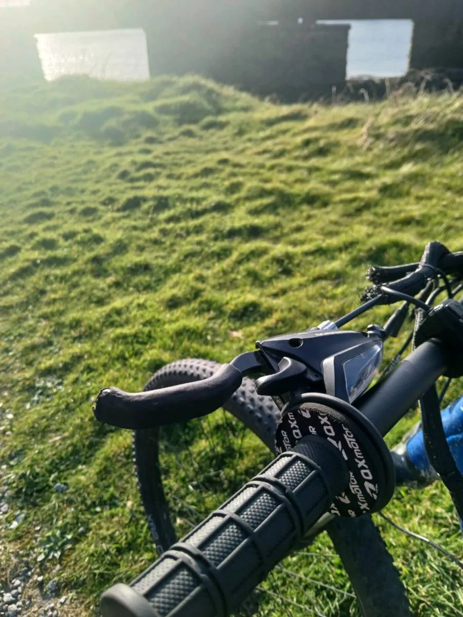 Ebike Bfang Motor - Image 4