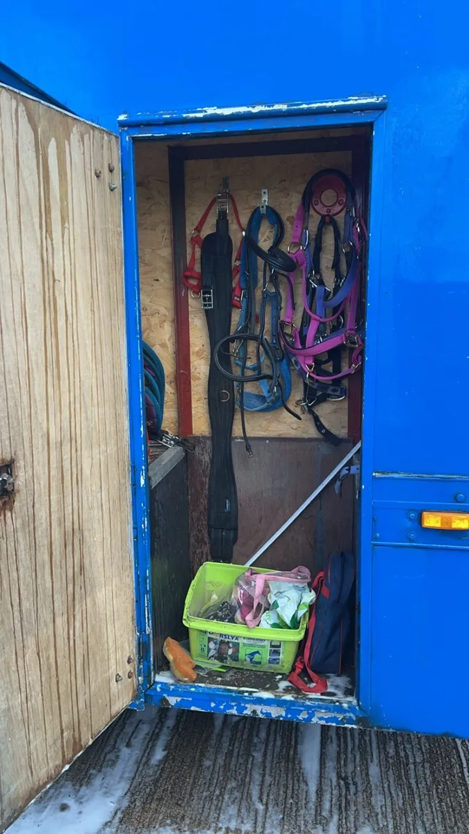 Horse lorry - Image 4
