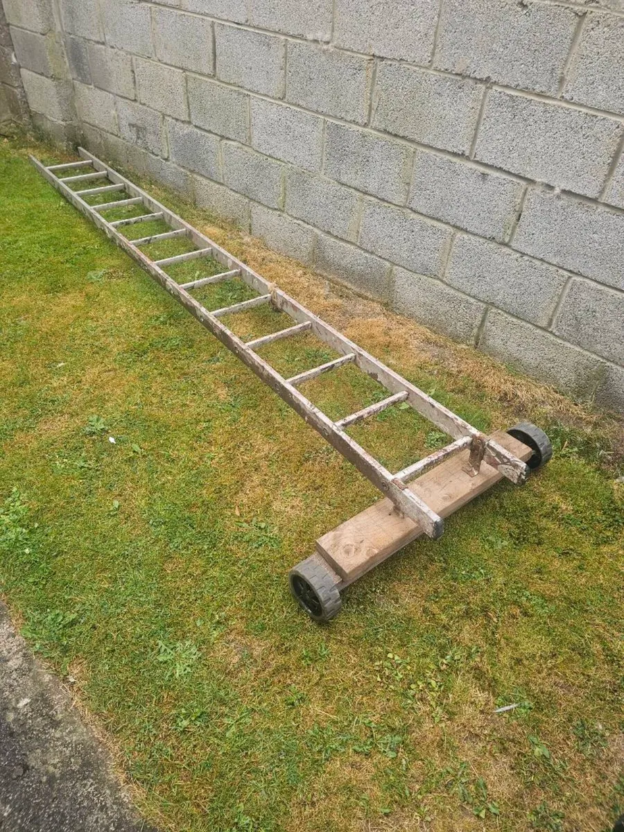 Ladder, 3.5m long - Image 1