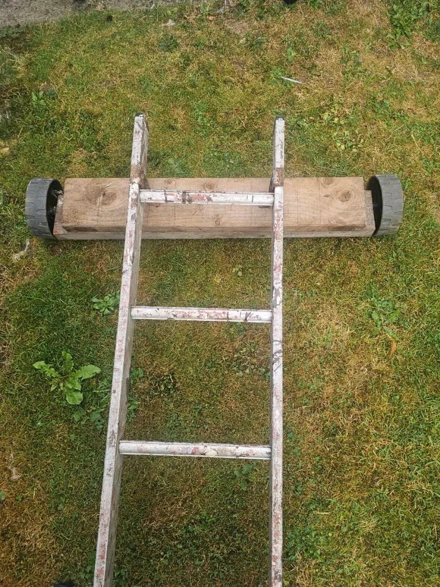 Ladder, 3.5m long - Image 2