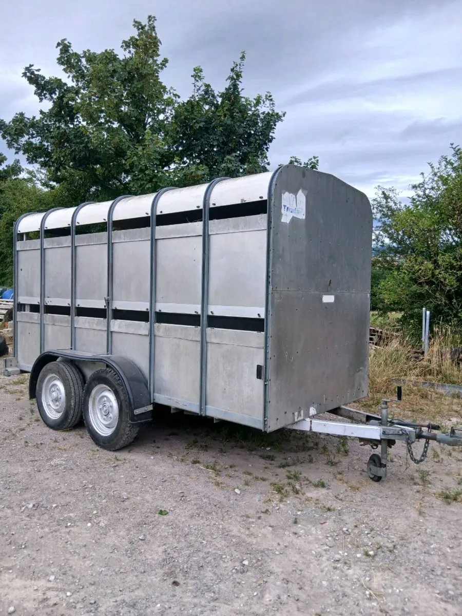 Ifor Williams 12ft x 5ft cow box - Image 1