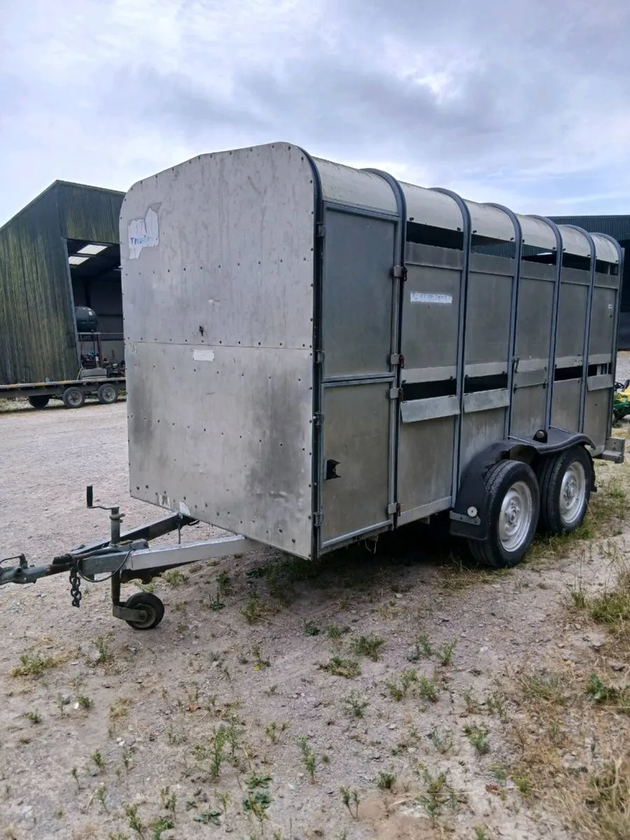 Ifor Williams 12ft x 5ft cow box - Image 2